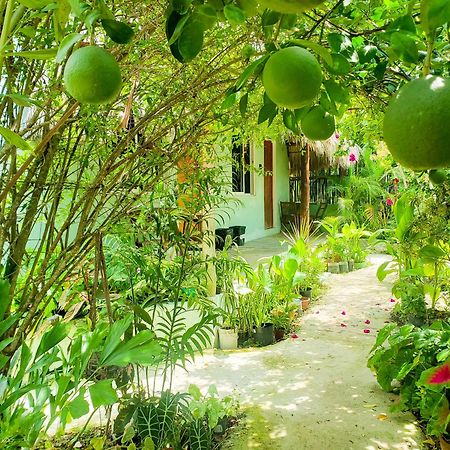 Las Palmas Bacalar Ngoại thất bức ảnh