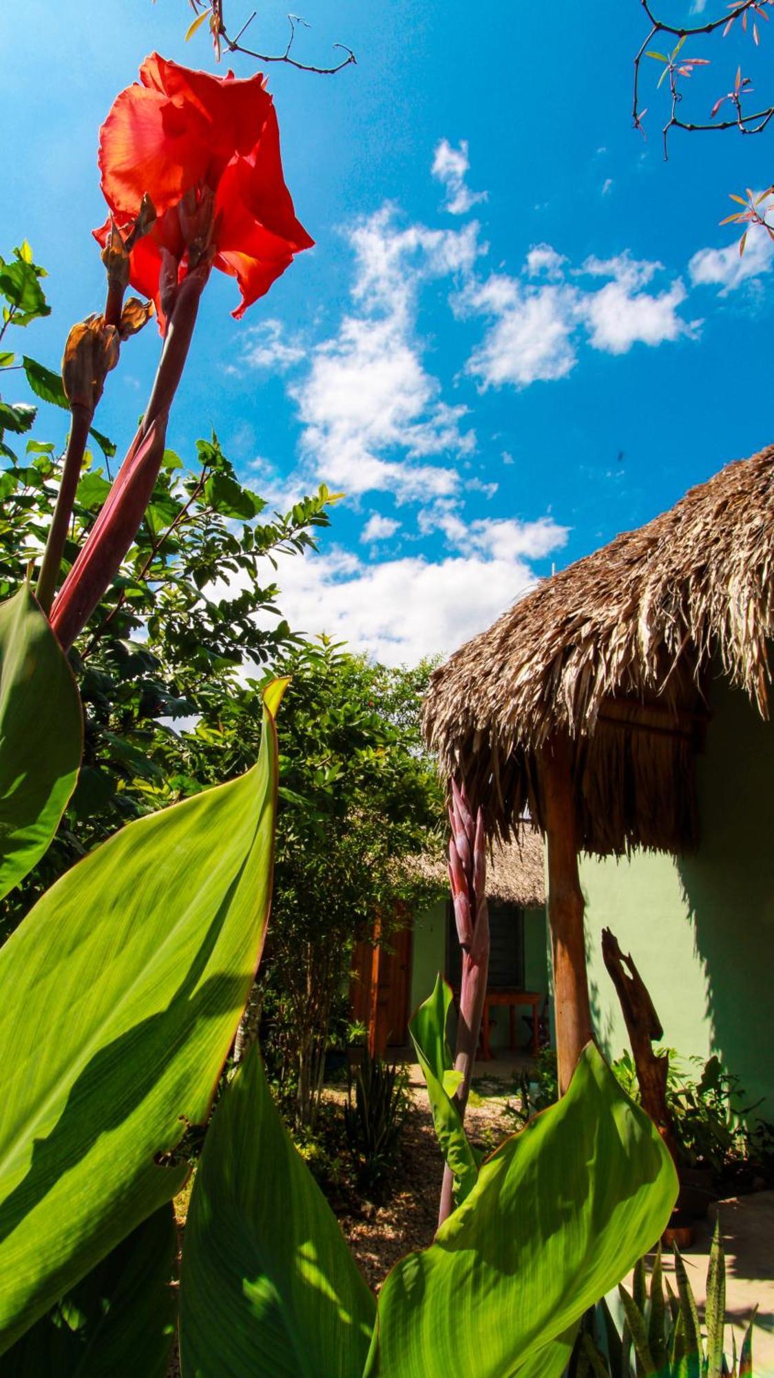 Las Palmas Bacalar Ngoại thất bức ảnh
