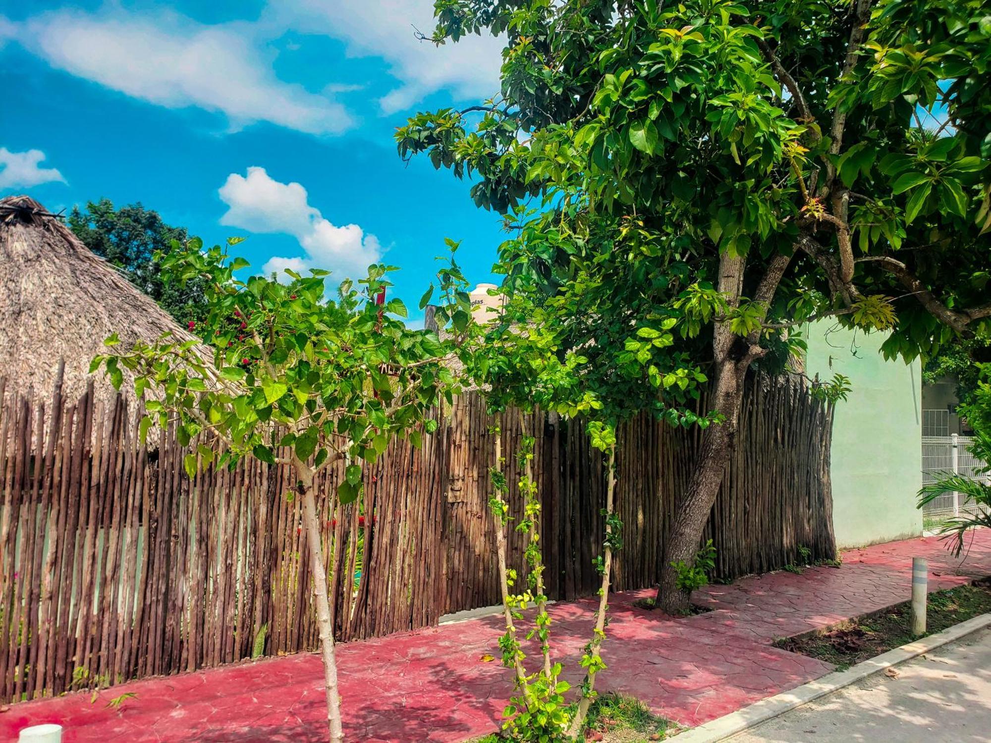 Las Palmas Bacalar Ngoại thất bức ảnh